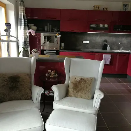 Luxusni Byt V Centru Brna